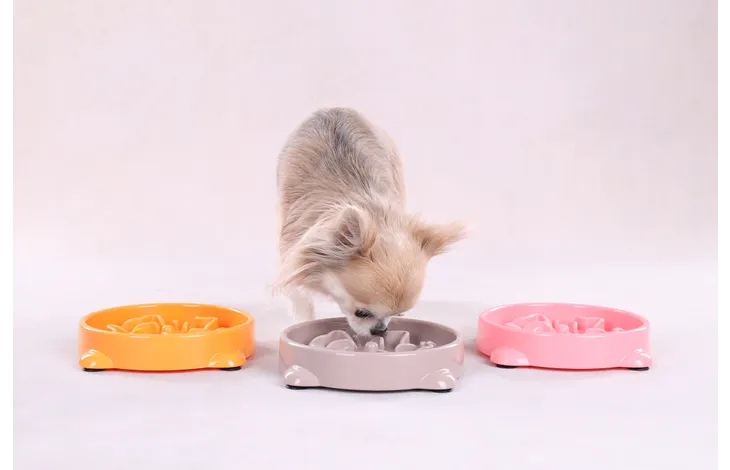 Slow Feeder Puppy Bini S