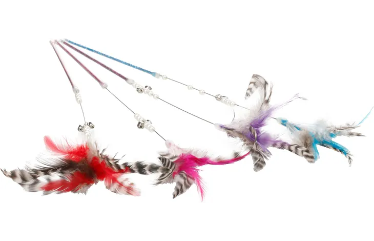 Cat Dangler Toy