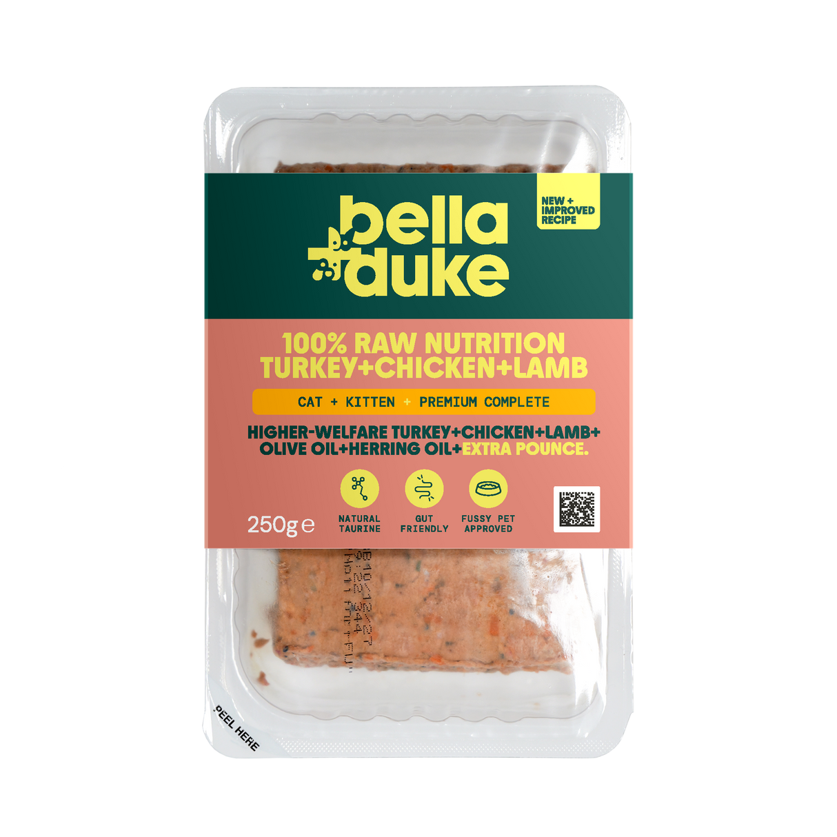 Bella & Duke - Cat & Kitten