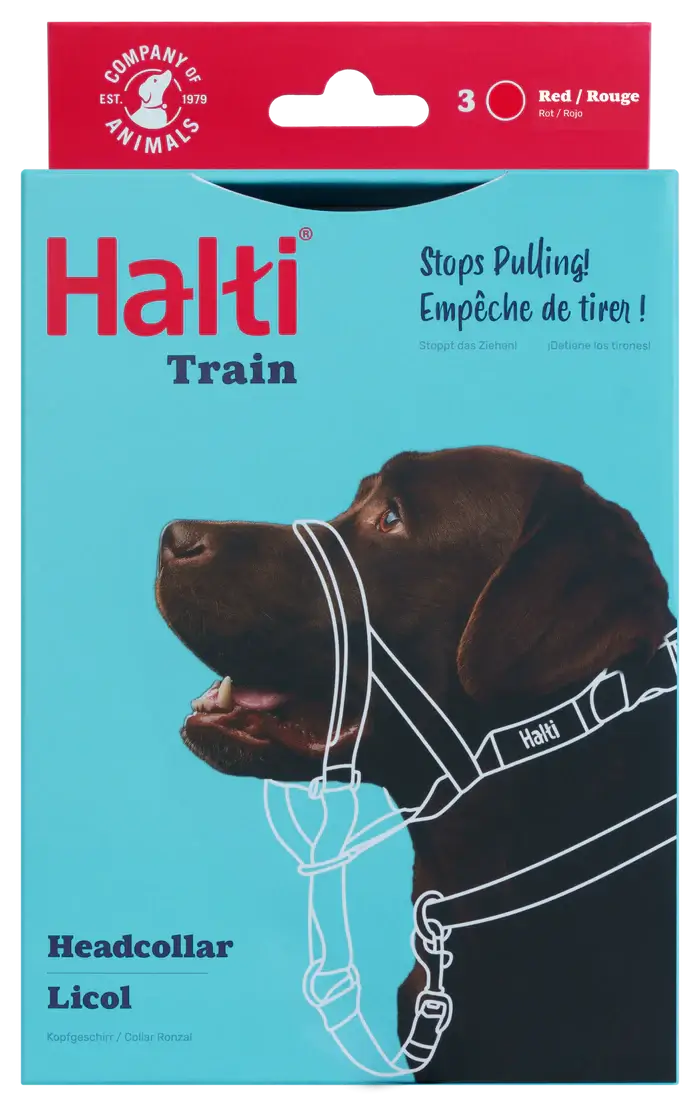 HALTI Headcollar (Black)