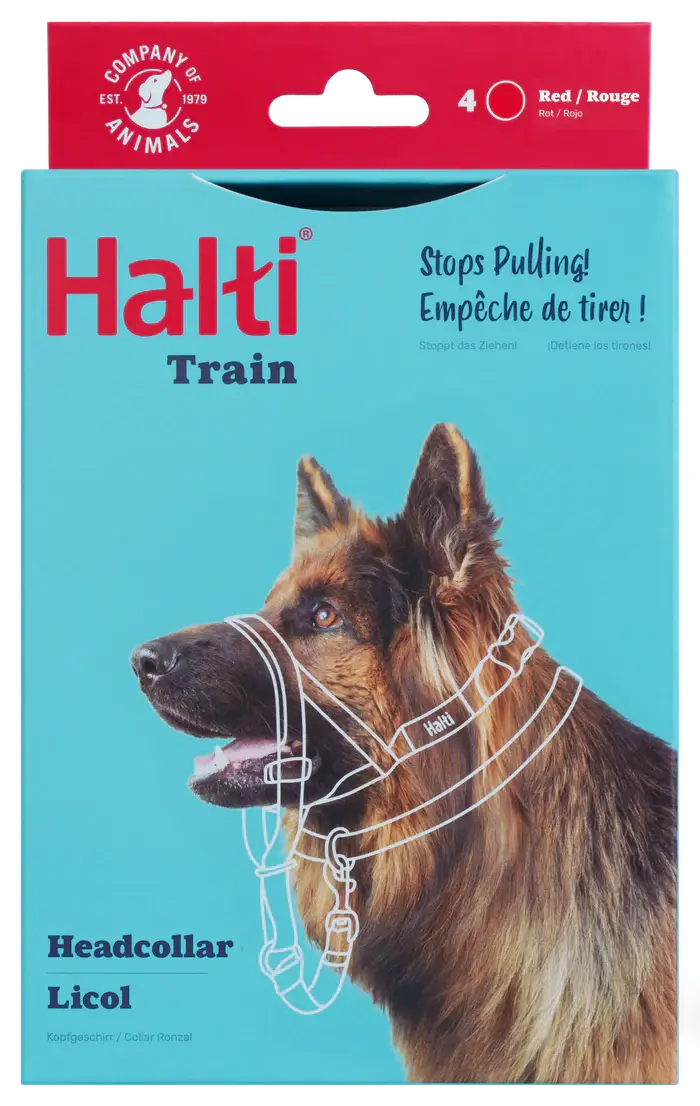 HALTI Headcollar (Black)