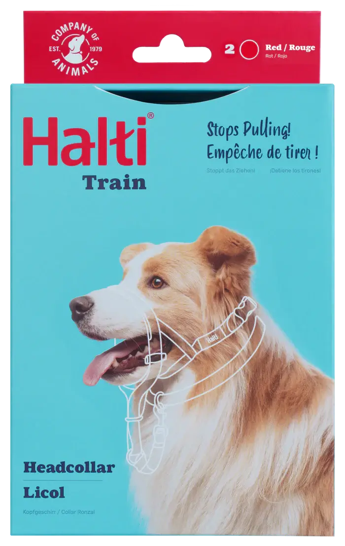 HALTI Headcollar (Black)