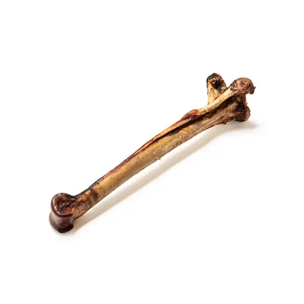 Ostrich Caveman Bone XL