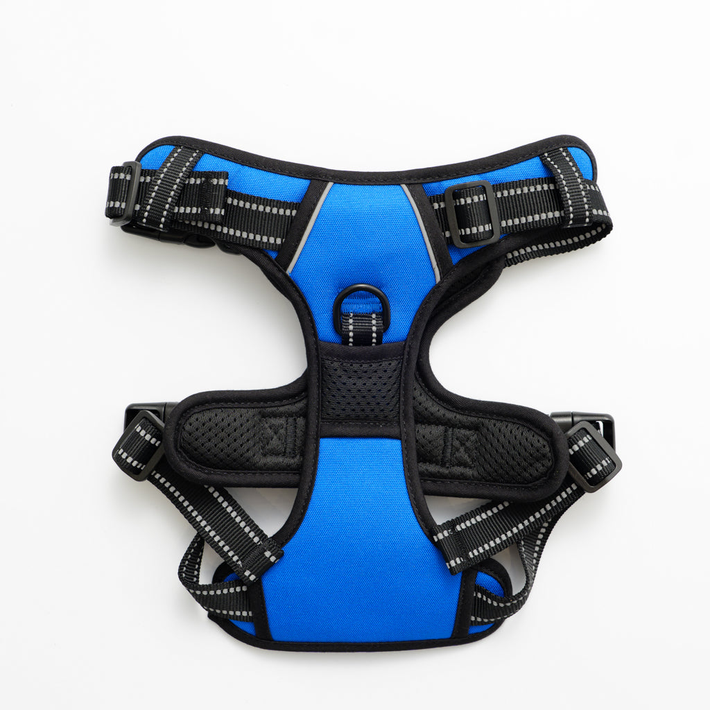 RunRuff Complete Set - Blue