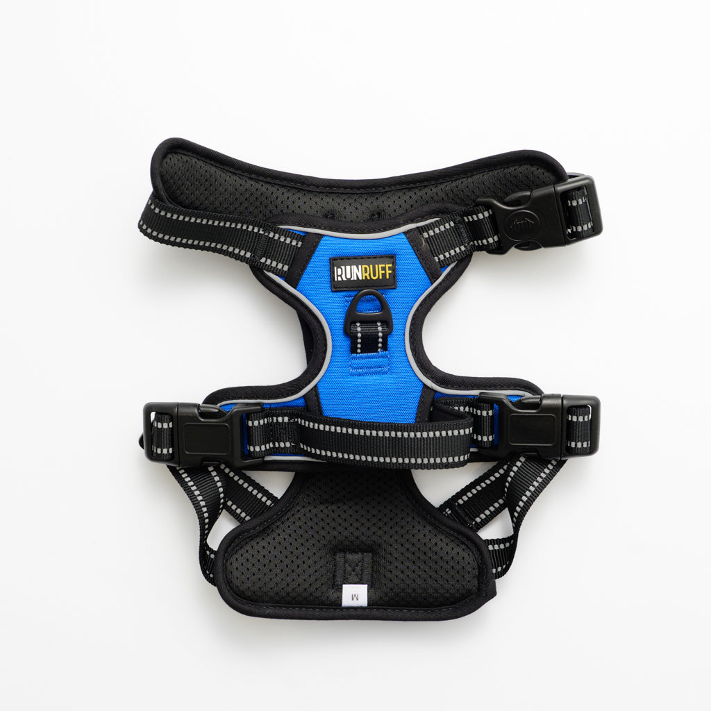 RunRuff Complete Set - Blue