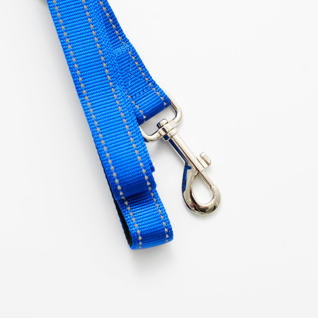 RunRuff Complete Set - Blue