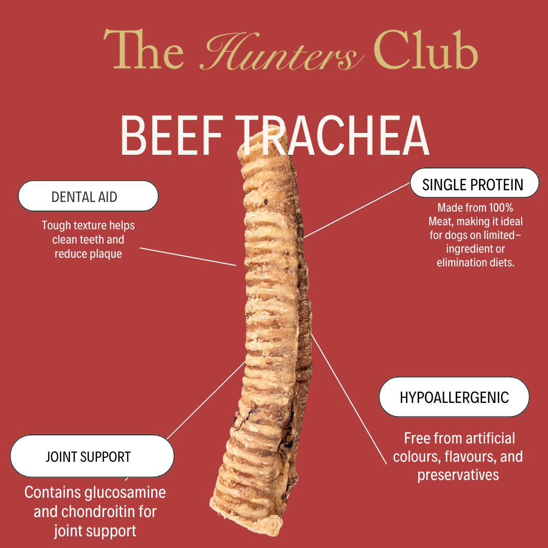 The Hunters Club Beef Trachea 30cm 2Pack