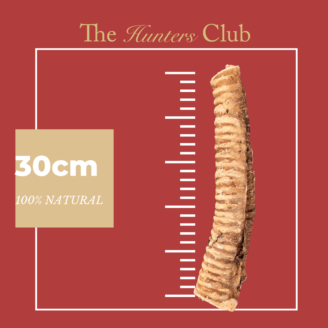 The Hunters Club Beef Trachea 30cm 2Pack