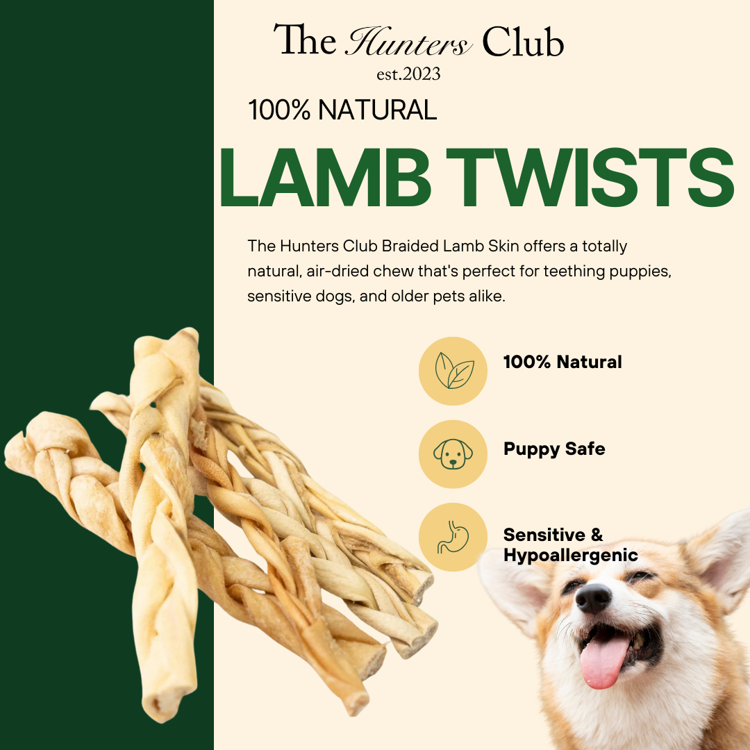 The Hunters Club Braided Lamb Skin Dog Chew