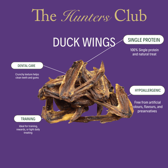 The Hunters Club - Duck Wings
