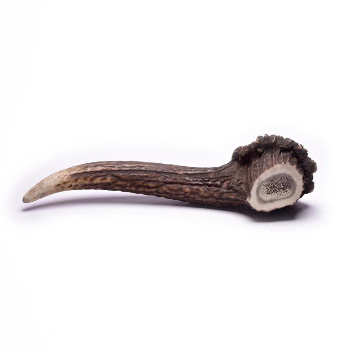 The Hunters Club Full Scottish Deer Antlers - 100% Natural