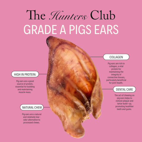 The Hunters Club Pig Ears