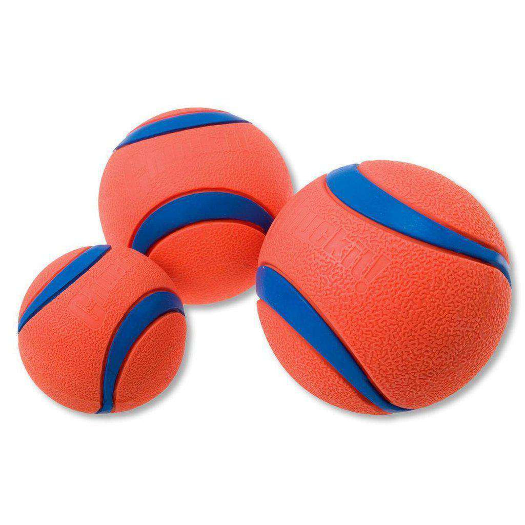 Chuckit Ultra Ball Dog Toy-Dog Toys-Chuckit-Small 2 Pack-Dofos Pet Centre