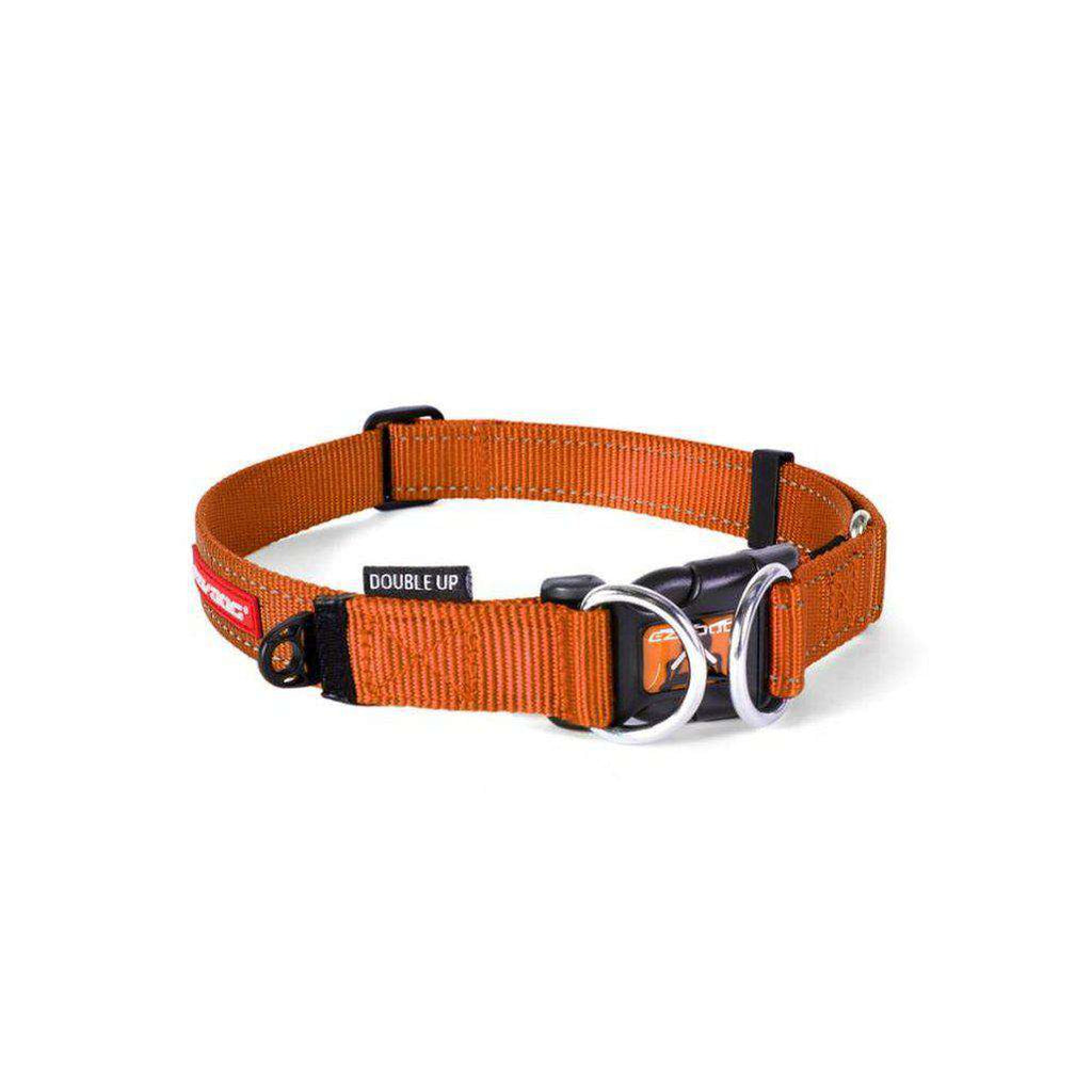 EzyDog Double Up Dog Collar - All Colours-Dog Collar-Ezydog-S-Orange-Dofos Pet Centre