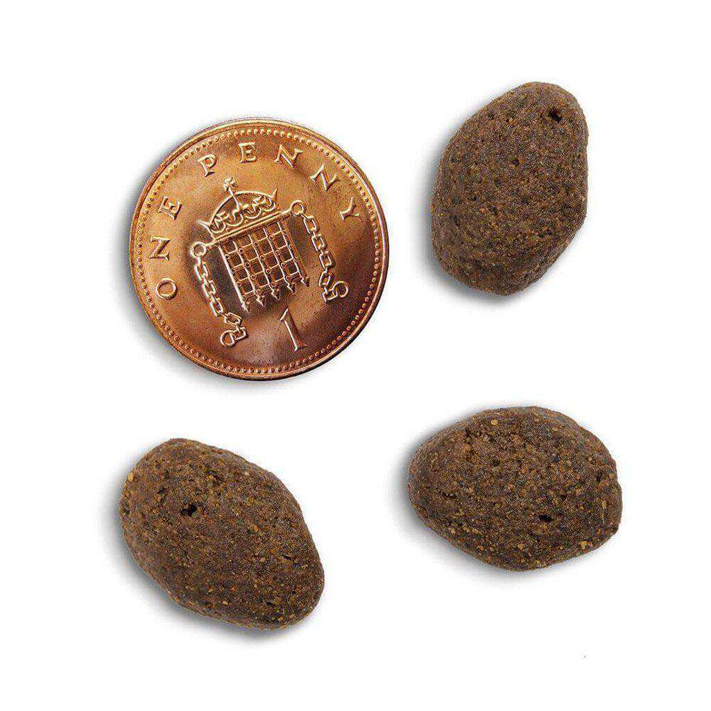 Canagan Country Game Grain Free Dog Food