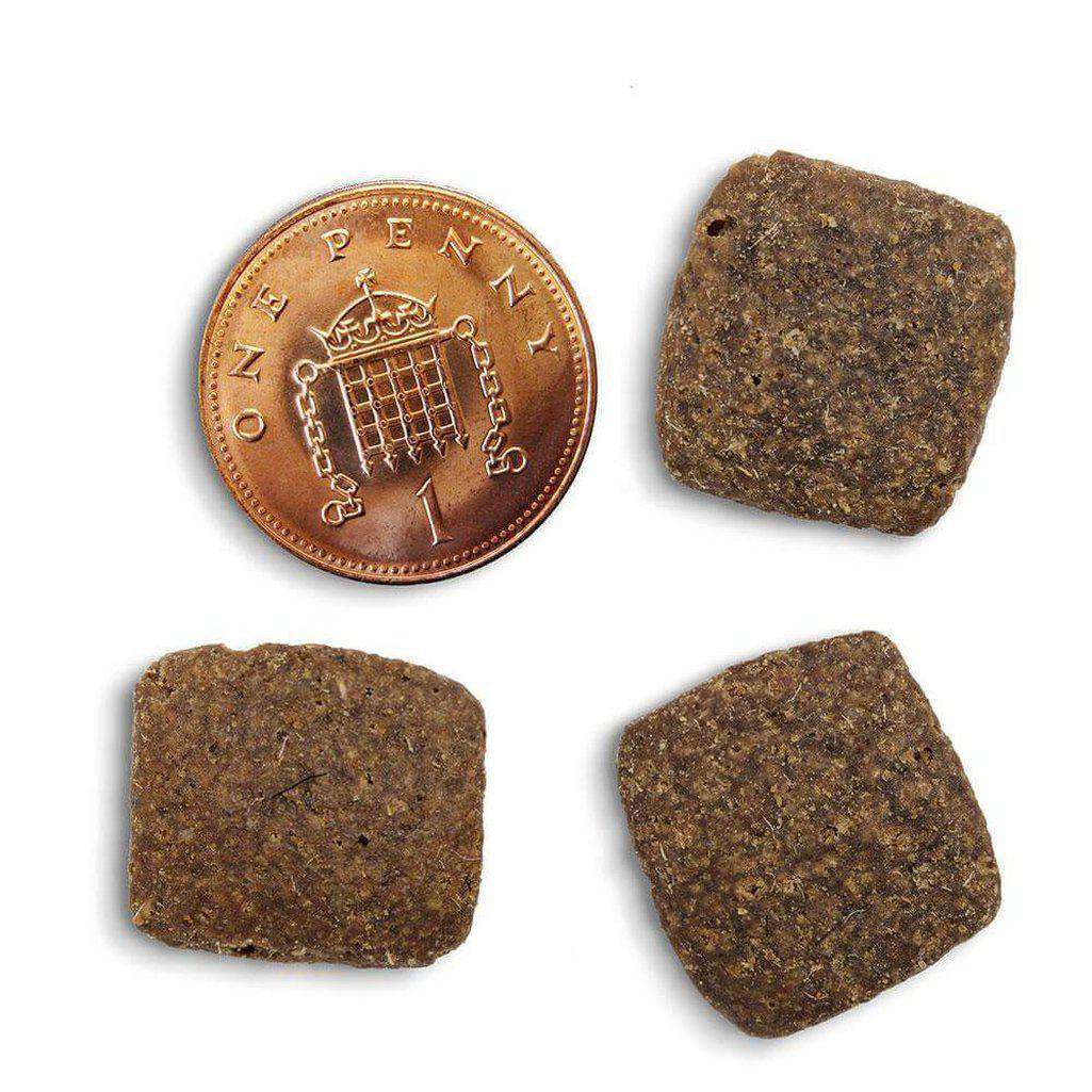 Canagan Grass Fed Lamb Grain Free Dog Food