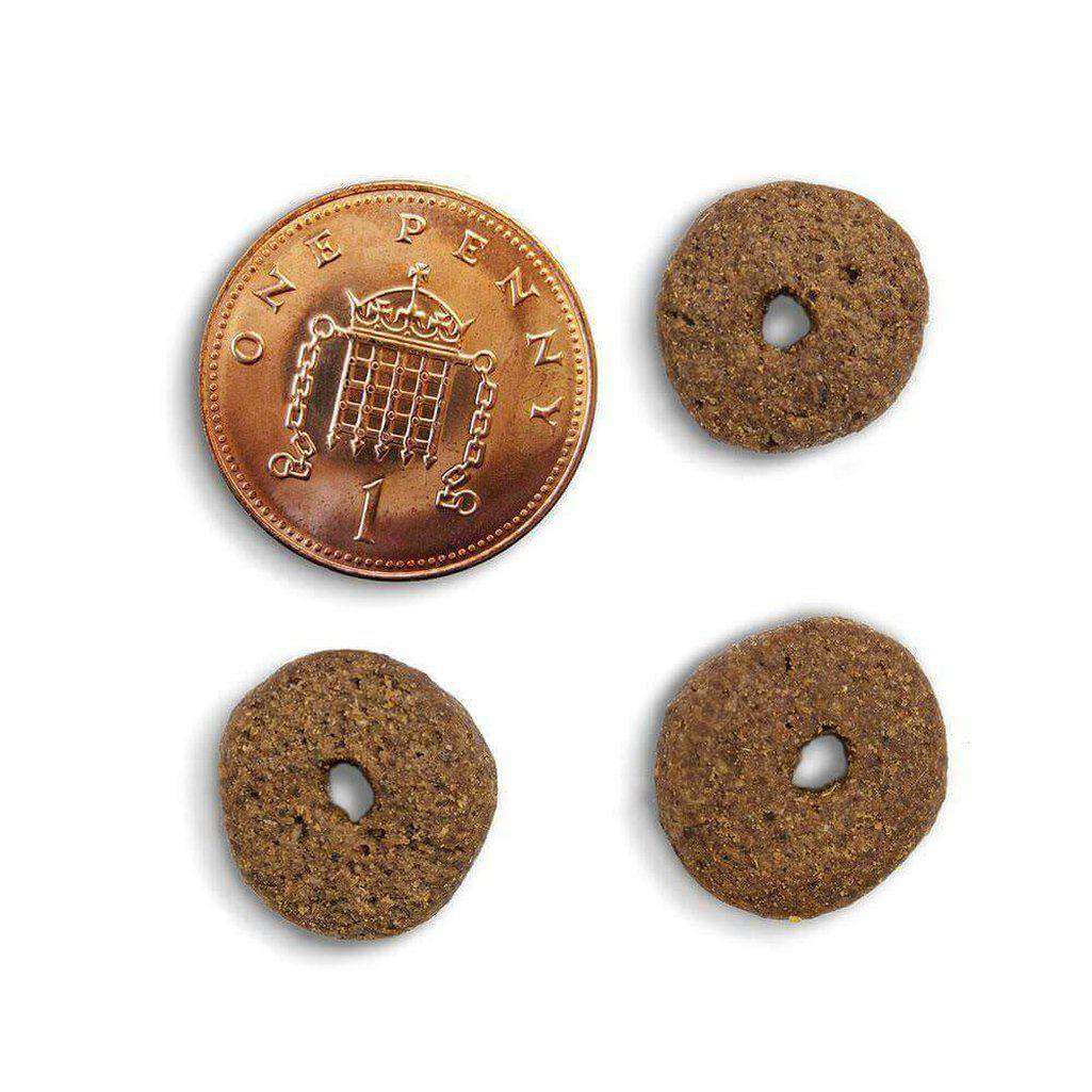 Canagan Light/Senior Free Run Chicken Grain Free Dog Food