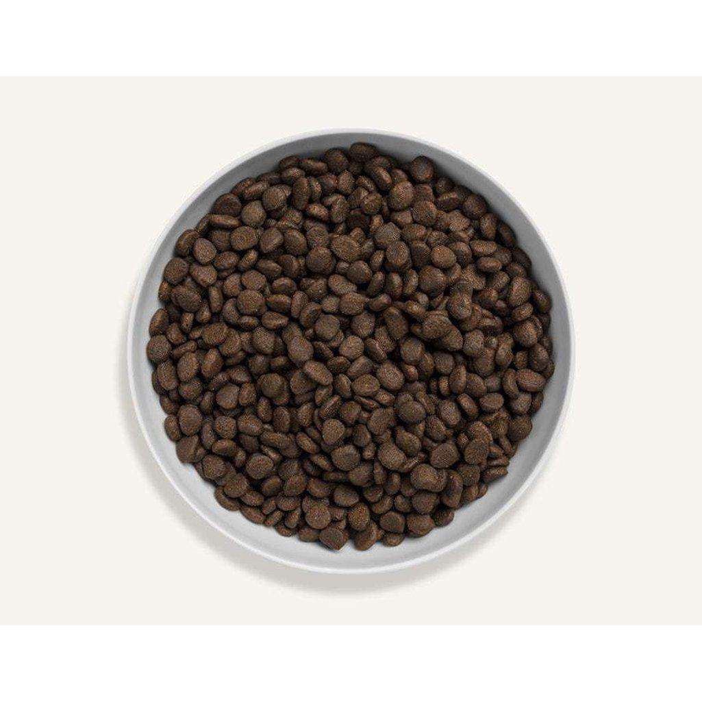 Canagan Scottish Salmon Grain Free Dry Cat Food