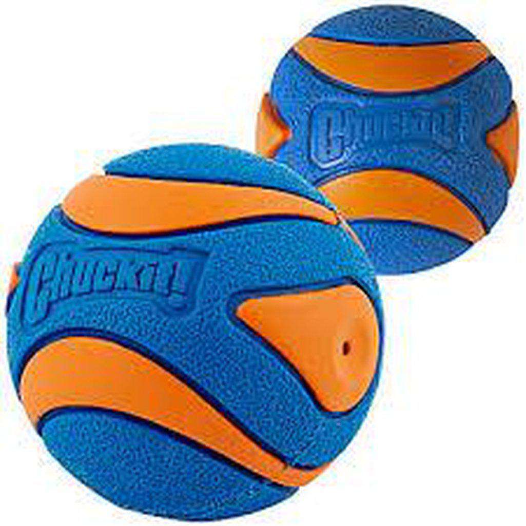 Chuckit Ultra Squeaker Ball Dog Toy