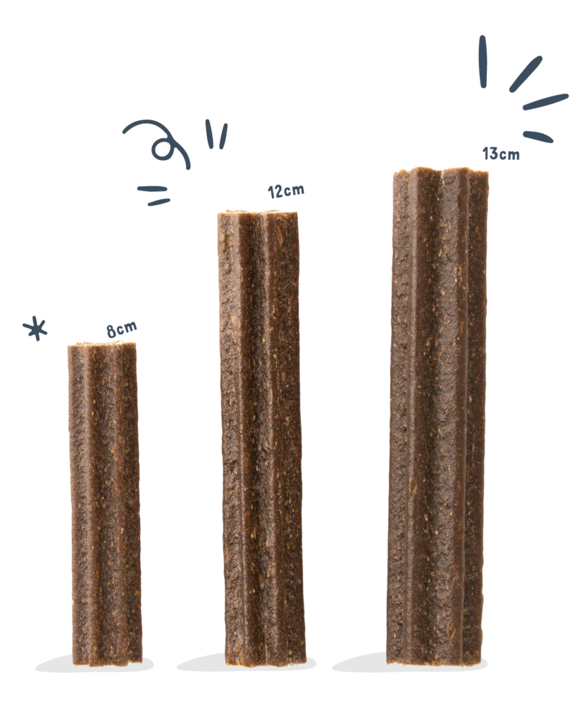 Edgard Cooper Doggy Dental Apple & Eucalyptus