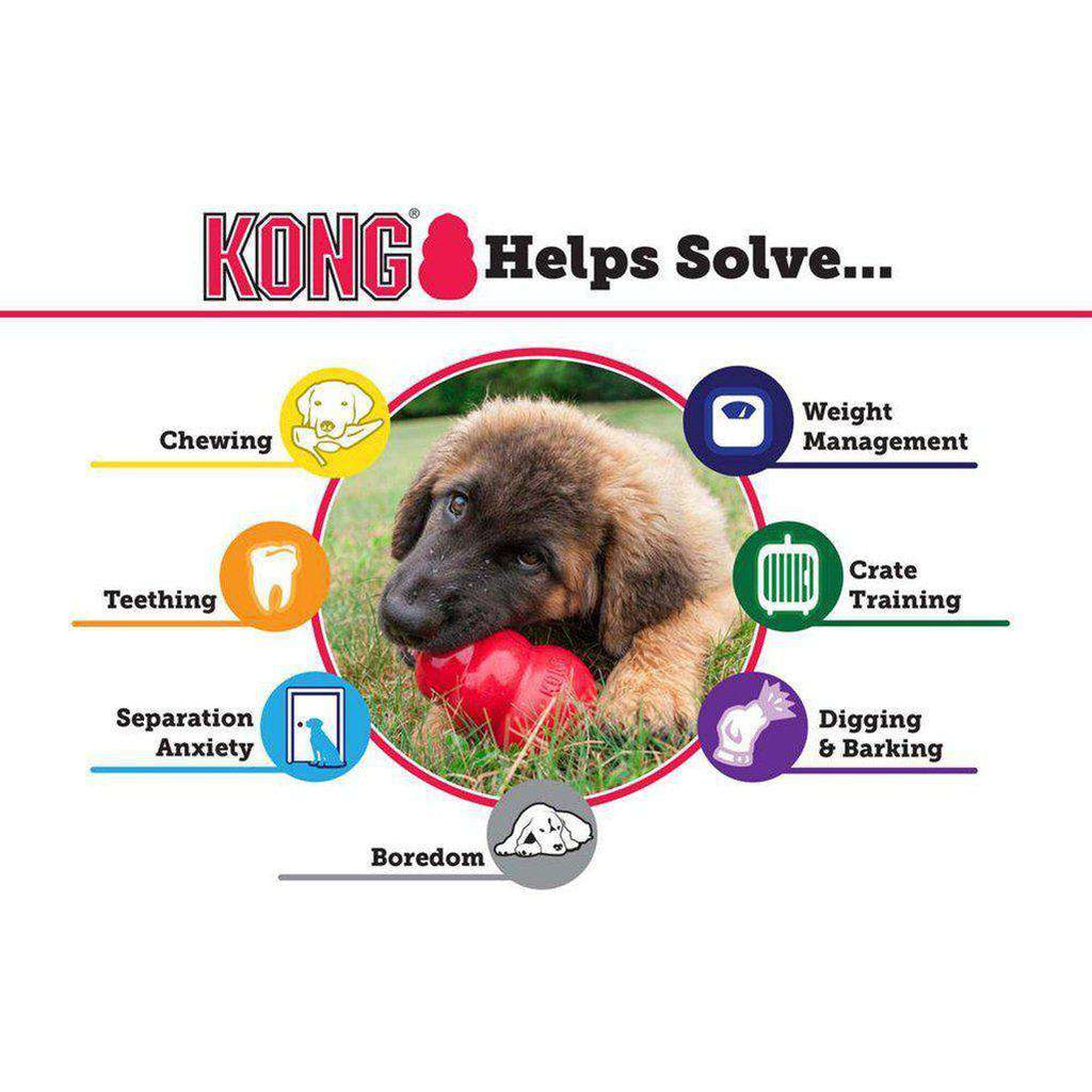 KONG Puppy Dog Toy-Dog Toys-Kong-XS-Dofos Pet Centre