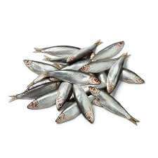 Sprats (whole Frozen) 1kg