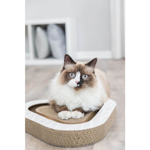 Trixie Scratching Cardboard With Balls With Catnip