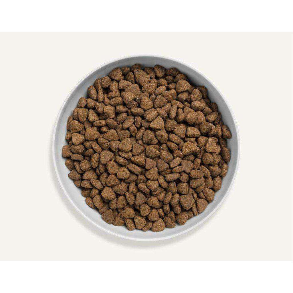 Canagan Senior/Light Grain Free Cat Food-Cat Dry Food-Canagan-375g-Dofos Pet Centre