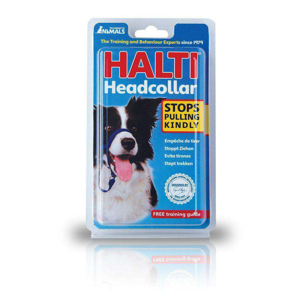 HALTI Headcollar (Black)-Dog Accessories-Halti-0-Dofos Pet Centre