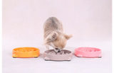 Slow Feeder Puppy Bini S