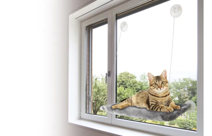 Window Lounger Chill Rectangle