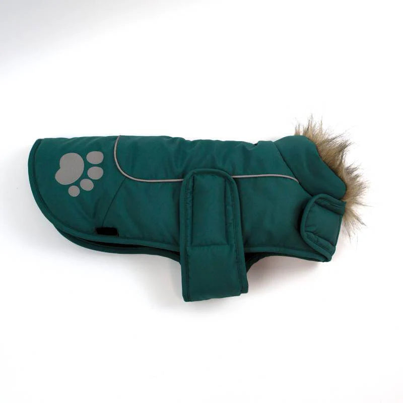 Paw Print Dog Jacket Teal