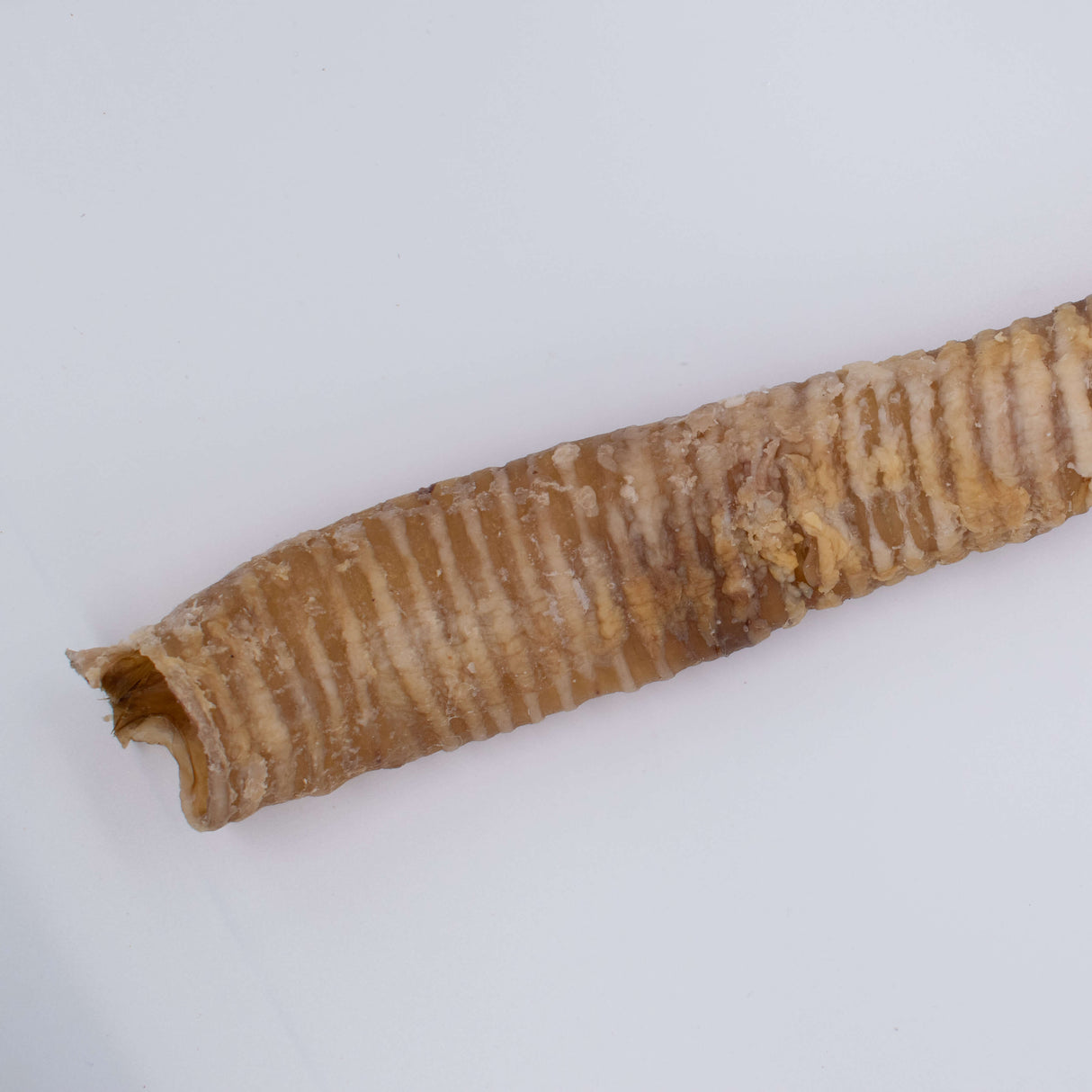 The Hunters Club Beef Trachea 30cm 2Pack