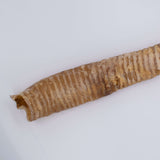 The Hunters Club Beef Trachea 30cm 2Pack