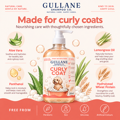 Gullane Shampoo Co. - Curly Coat