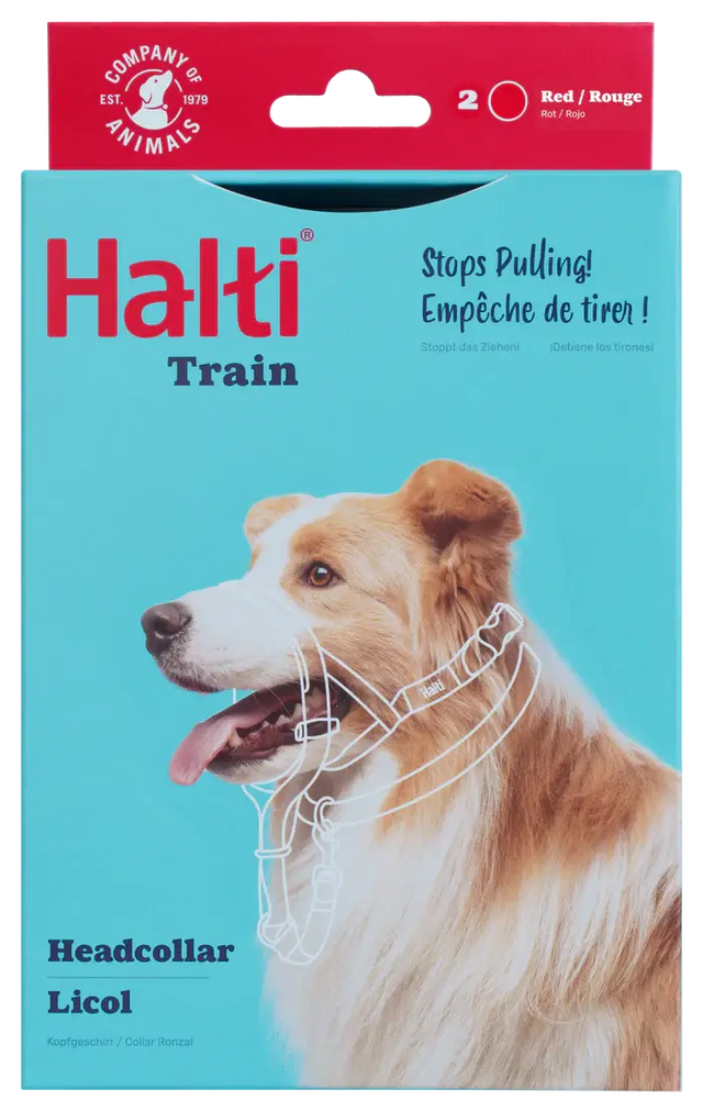 HALTI Headcollar (Black)