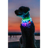 Trixie USB Flash Light Ring