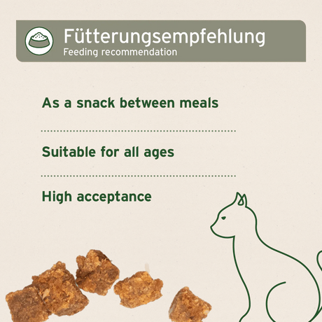 Aniforte Soft Snacks Cat Treats 100g