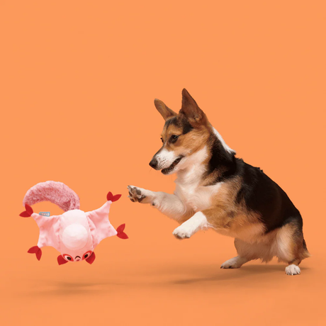 Bark Sydney Sugar Glider Dog Toy