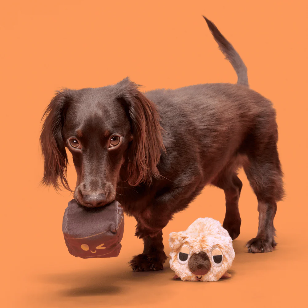 Bark Walken Wombat Dog Toy