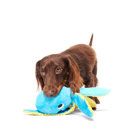 Bark Odd Otto Dog Toy