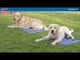 Trixie Dog Cooling Mat