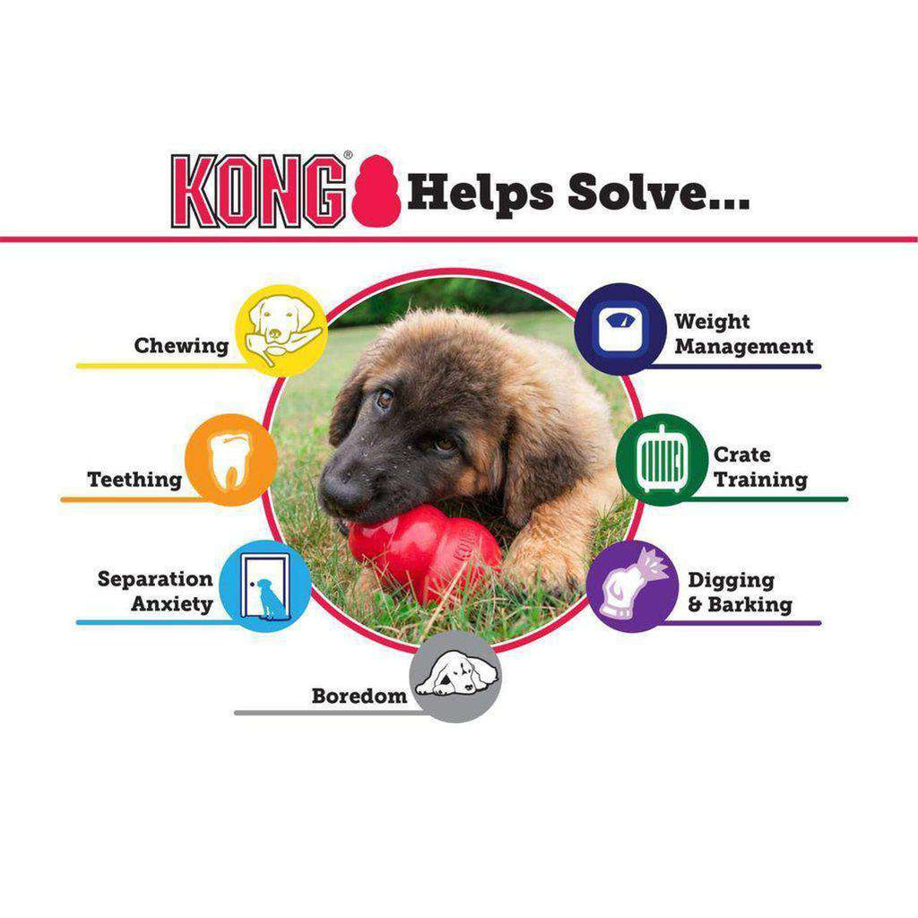 KONG Extreme Black Dog Toy-Dog Toys-Kong-Small-Dofos Pet Centre