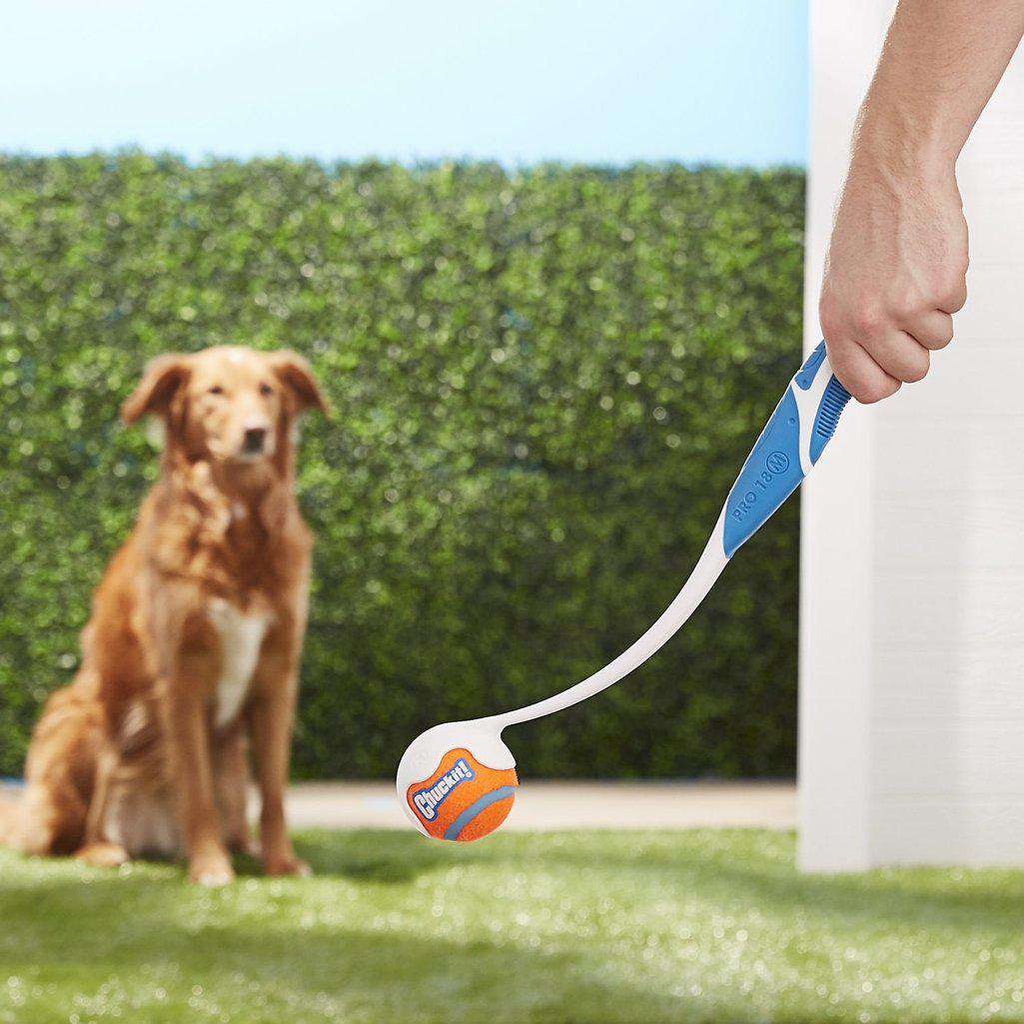 Chuckit Pro Ball Launcher Medium-Dog Toys-Chuckit-Medium Ball 18''-Dofos Pet Centre