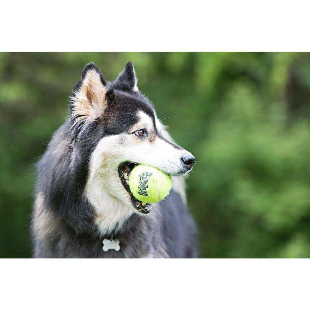 KONG Air Dog Squeakers Tennis Balls-Dog Toys-Kong-Xsmall 3 Pack-Dofos Pet Centre