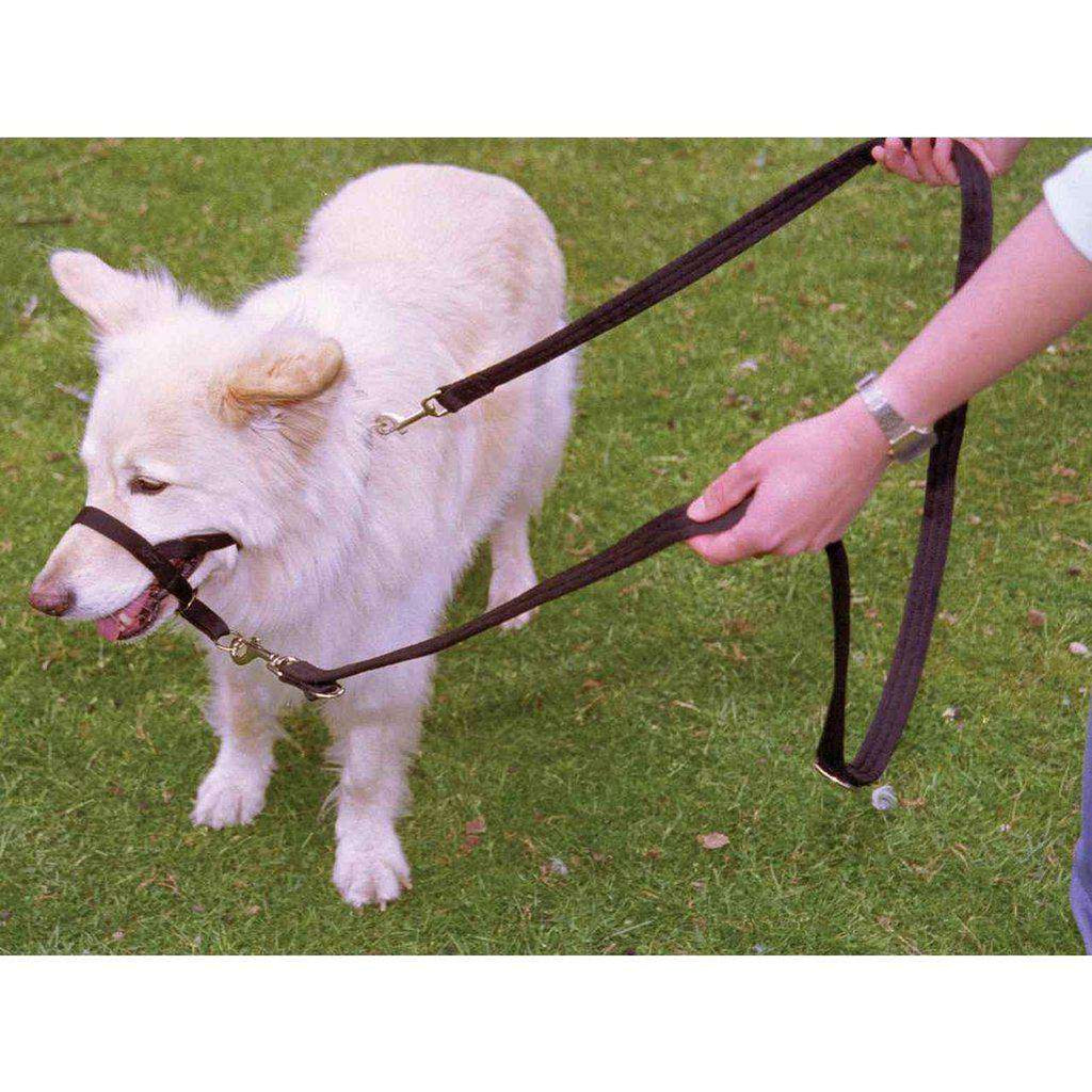 Halti Training Black Dog Lead-Dog Lead-Halti-Small-Dofos Pet Centre