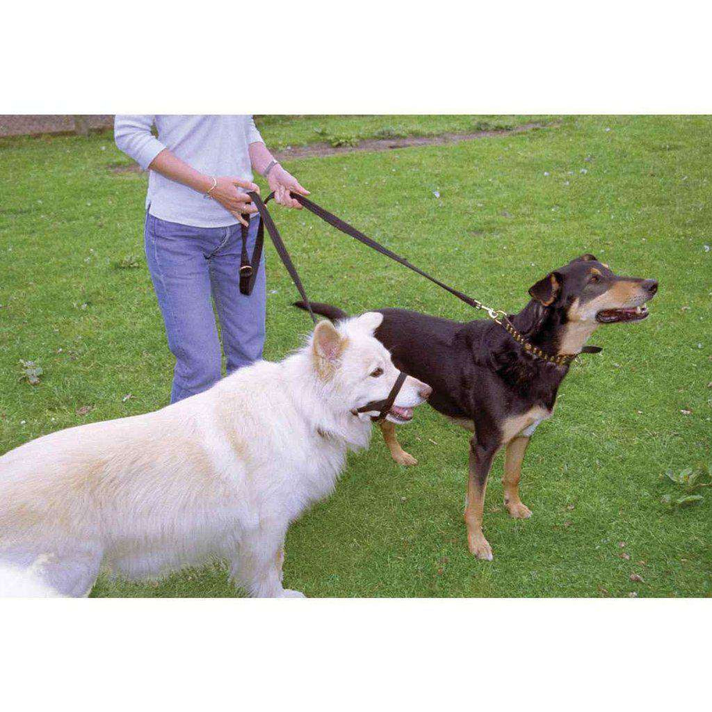 Halti Training Black Dog Lead-Dog Lead-Halti-Small-Dofos Pet Centre