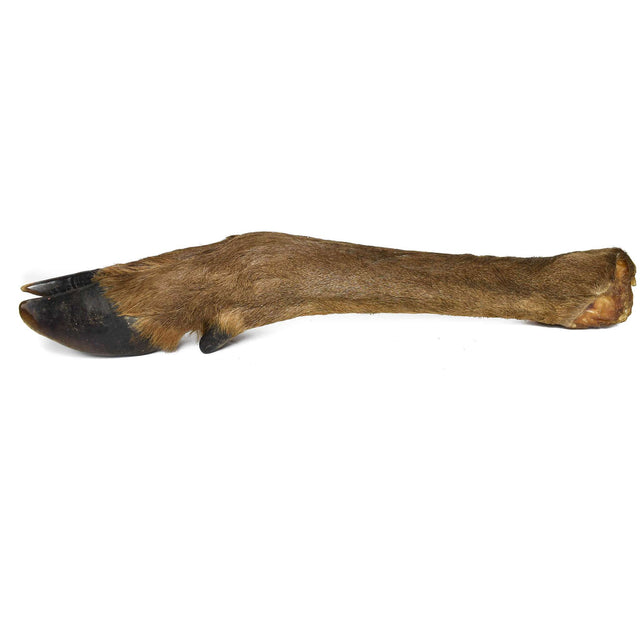 Deer/Doe Legs