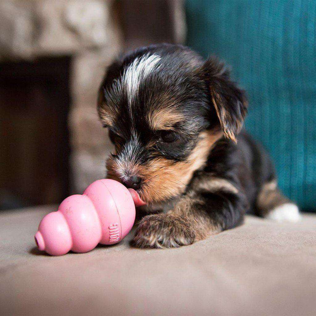 KONG Puppy Dog Toy