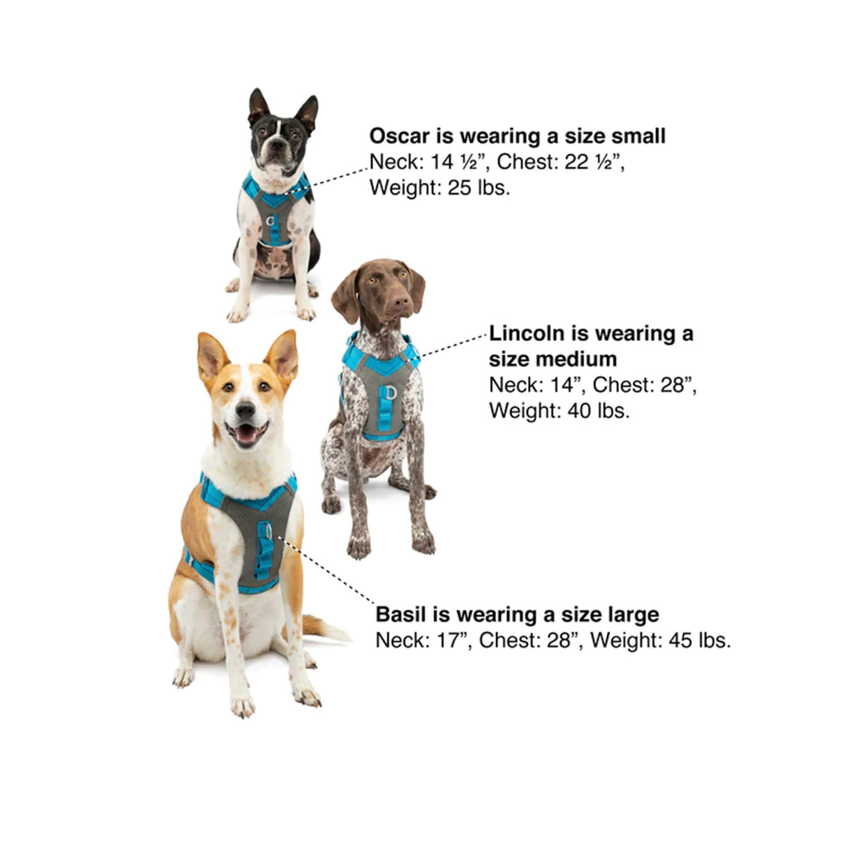 Kurgo Journey Air Dog Harness